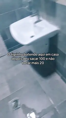 #tigrinho #meme #tigrebanheiro #tigre #fortunetiger #roleta 