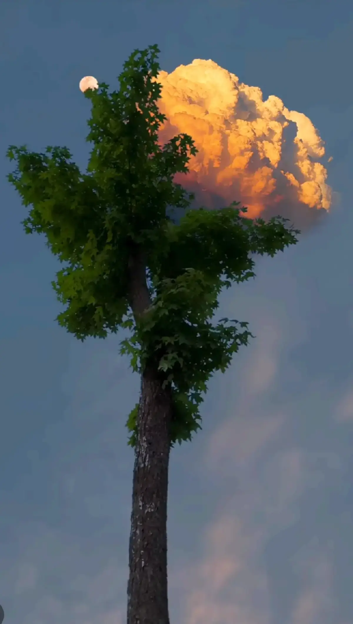 #مشاهير_تيك_توك_مشاهير_العرب 