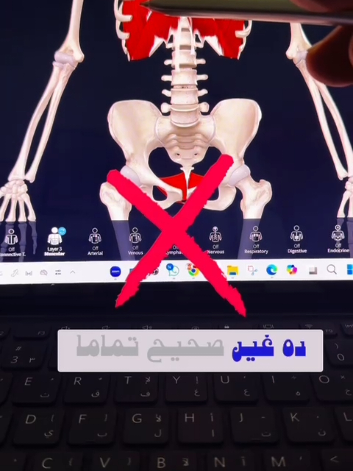 افضل طريقة لتقويه عضلات قاع الحوض🤔👌 #core #عضلات_بطن #رواد_اللياقة #عضلات_الحوض #تدريب_شخصي #تدريبات_رياضية #اكاديمية_تدريب_رياضي #تمارين_رياضيه #تمارين_كارديو #تمارين_وزن_الجسم #لياقة #tiktok 