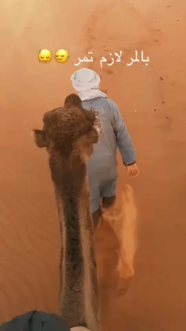 Section 83 |  @تراث المرازيڨ| 𝐃𝐨𝐮𝐳 𝐬𝐮𝐝  صحبي شعير / بالمر لازم تمر 🤞👌🧡 #صحراء_دوز #🖤🥀 #الجنوب_التونسي #🖤 #دوز_بوابة_الصحراء #🖤🖤 #تصيم #شعر #كلام_في_الصميم #خواطر #تراث_المرازيق #🖤🖤🖤 #صحراء #راحة_نفسية #🖤🖤🖤🖤🖤🖤🖤  #fyp  #fypシ  #foryou  #vairal  #foryoupagе  @تراث المرازيڨ| 𝐃𝐨𝐮𝐳 𝐬𝐮𝐝 