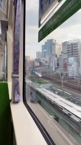 Tokyo monorail#CapCut #fypage #PMI🇮🇩🇯🇵 #lifeinjapan #magangjepang♥️日本 #tokuteginou🇲🇨🇯🇵 #japanvibes #tokyo 