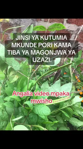 #godsfavor #uzazi #PID #tiktoktanzania🇹🇿 #tiktokkenya🇰🇪 #trending 