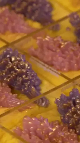 Que vídeo mais satisfatório! 😍 Eu poderia passar horas assistindo todo o processo de criação – desde cada detalhe até o resultado final. E olha que incrível: essa barra de sabonetes com arranjo de lavanda ficou simplesmente perfeita! 🌿🧼 💡 E você? Já faz sabonetes? Quer começar nesse mundo mágico da saboaria? 🚨 Aproveita que ainda está rolando a Soap Friday no nosso site! Descontos incríveis pra você dar o primeiro passo ou renovar seus materiais. Entre nesse universo comigo e descubra o prazer de criar produtos únicos e cheios de encanto! 📌 Corre lá no site e aproveite as promoções antes que acabem! 💭 Conta pra mim nos comentários: qual seria o aroma perfeito para o seu sabonete dos sonhos? #SoapFriday #Saboaria #DIY #SaboneteArtesanal #PeterPaiva #FaçaVocêMesmo #ArtesanatoDeLuxo #PassoAPasso #NatalCriativo #PresenteFeitoAMão #FaçaEVenda  #Saboaria #ReceitasDeSabonetes #SoapMaking #SaboneteGlicerinado #EmpreendedorismoCriativo #ArtesanatoDeLuxo #artesanatocriativo #cosméticoscriativos