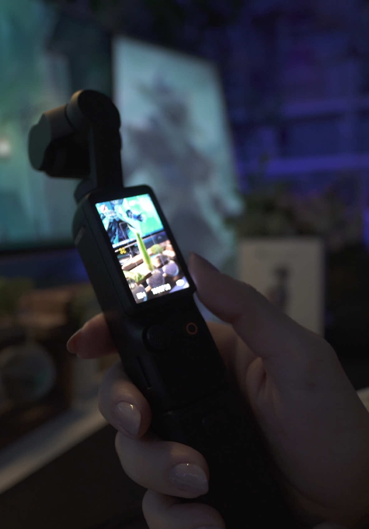 Voi la conoscevate? 🤨 *no adv, No gifted