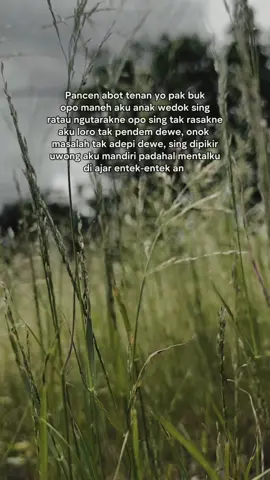 pancen abot tenan pak buk #jowostory #jowopride 