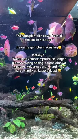 Mana udah prewed gak jadi abis gue di roasting satu keluarga 😭😭 #foryourpage #fypdongggggggggシ #fypシ゚ #NNNN #foryou #fyppppppppppppppppppppppp #viralid 