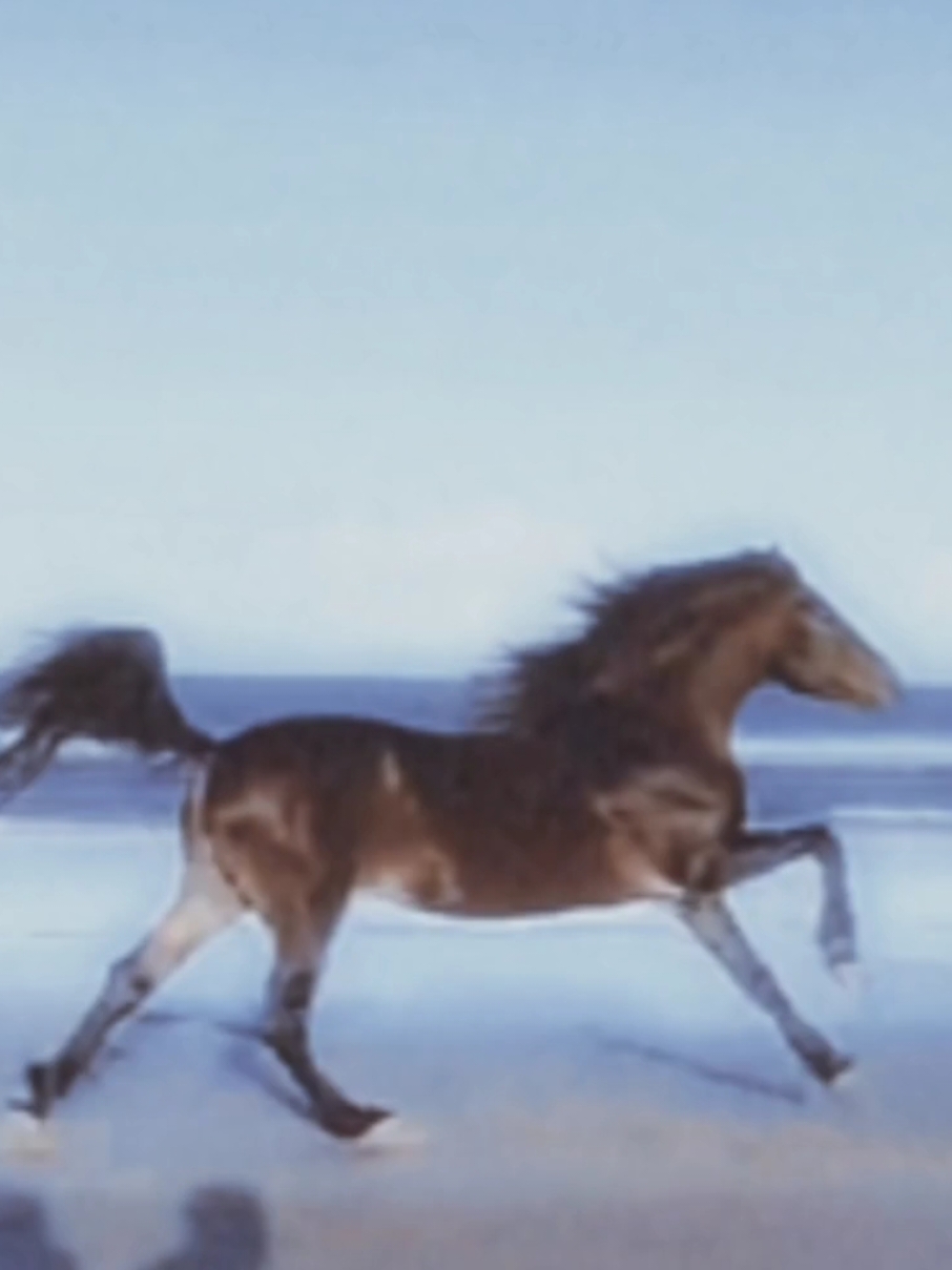 i love this song. #allineed #radiohead #music #lyrics #horse #fyp 