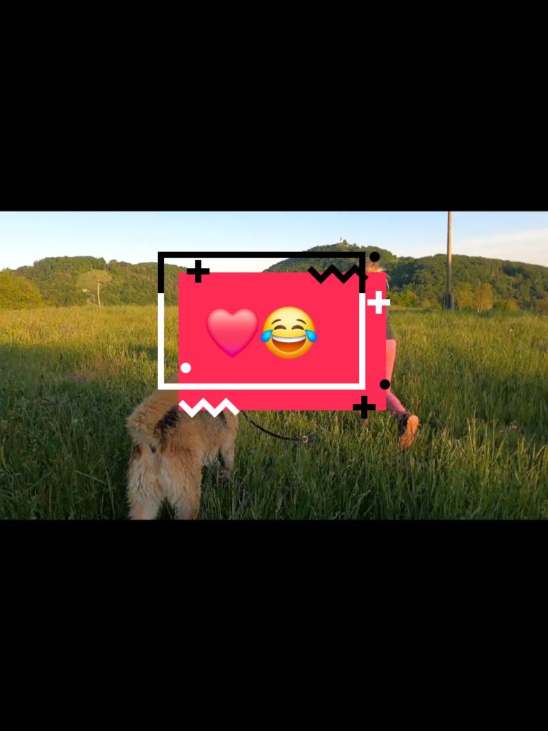 la petite chute à la fin 😂  #kidstiktok #dogsoftiktok #trendfamilia 