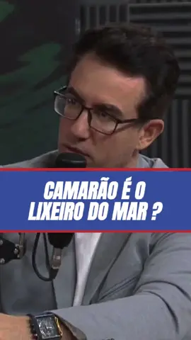 Oque nunca te contaram sobre o camarão! #camarao #camarão #saude #tiagorocha 