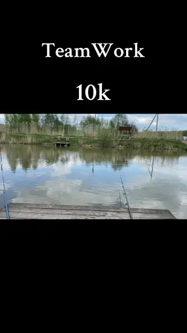 #teamwork #команднаяработа #10k #rek #взаимныеподписки 