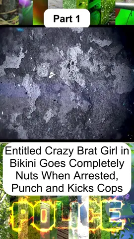 Entitled Crazy Brat Girl in Bikini Goes Completely Nuts When Arrested, Punch and Kicks Cops - Part 1