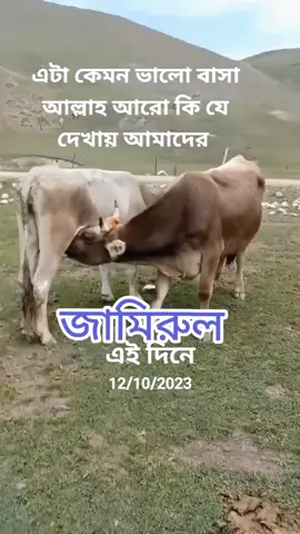 #আজকেরদিনে সাপোর্ট করলে সাপোর্ট পাবেন বন্ধু # #টিকটক বাংলাদেশ ভাইরাল ফর ইউ #