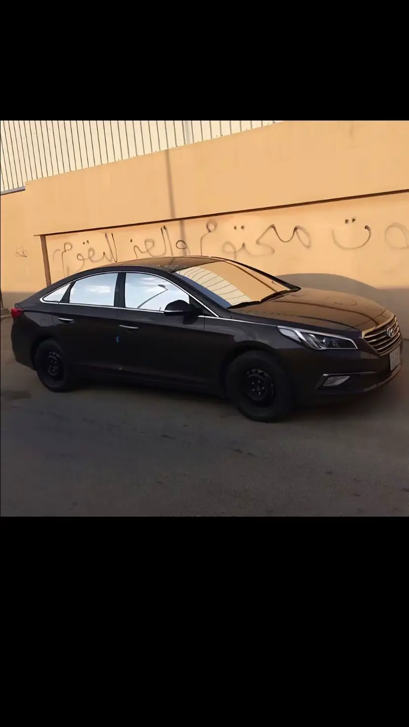 #ببو_سسيف_رئيس_رول_ططخيين😎 