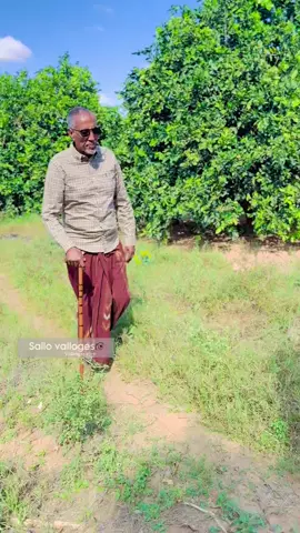 Mudanihii shalaw madaxweyne @Ugbaad Cabdi #MBC #hargeisa_somaliland #Madaxweyne