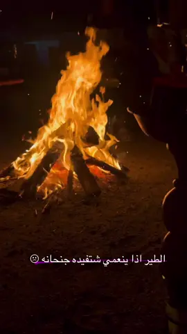 #الطير_اذا_ينعمي_شتفيده_جنحانه #طارق_الامي 