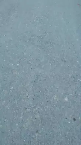 সে যেন ভুলে না মোরে। সে যেন ভুলে না মোরে