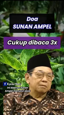 Gus dur