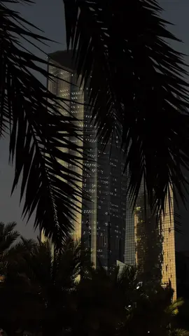 🎬✨