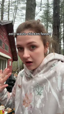they seem to be enjoying it and may save us some money! 🤣 #chickencoop #chickens #crazychickenlady 