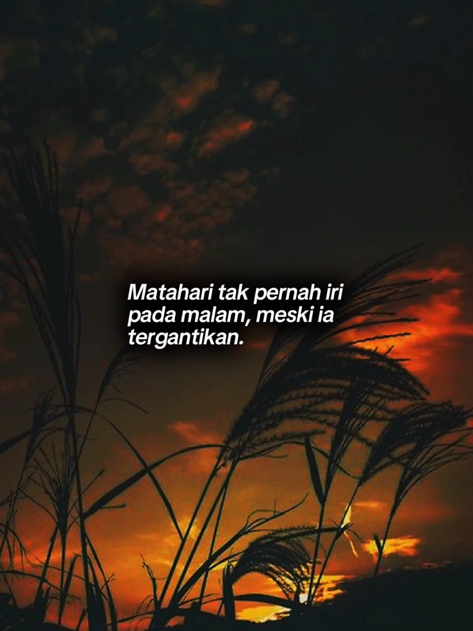 #Introspeksi #renungan #kehidupan #hukumalam  #1 #refleksi #quotes #kutipan #motivasi #openyourmind #openyourheart #bijaklahbersikap #katakatabijak #Template #CapCut 