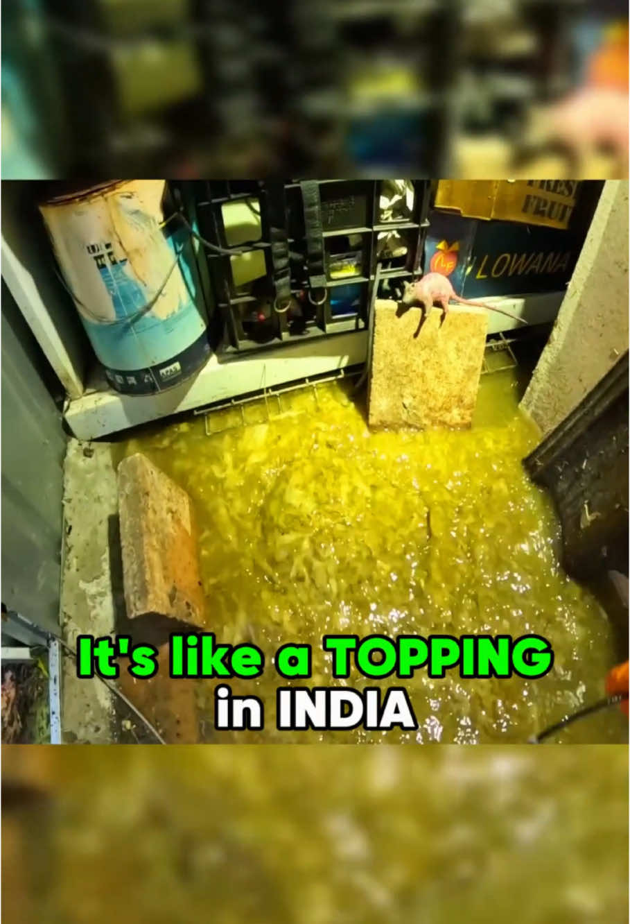 Have you tried INDIAN street food 🤢 #drain #plumbing #clean #draincleaning #foyou #fyp #omg #amazing 