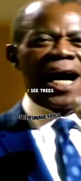 louis armstrong - what a wonderful world 🎶 #seyifunmilyrics #trend #fyp 