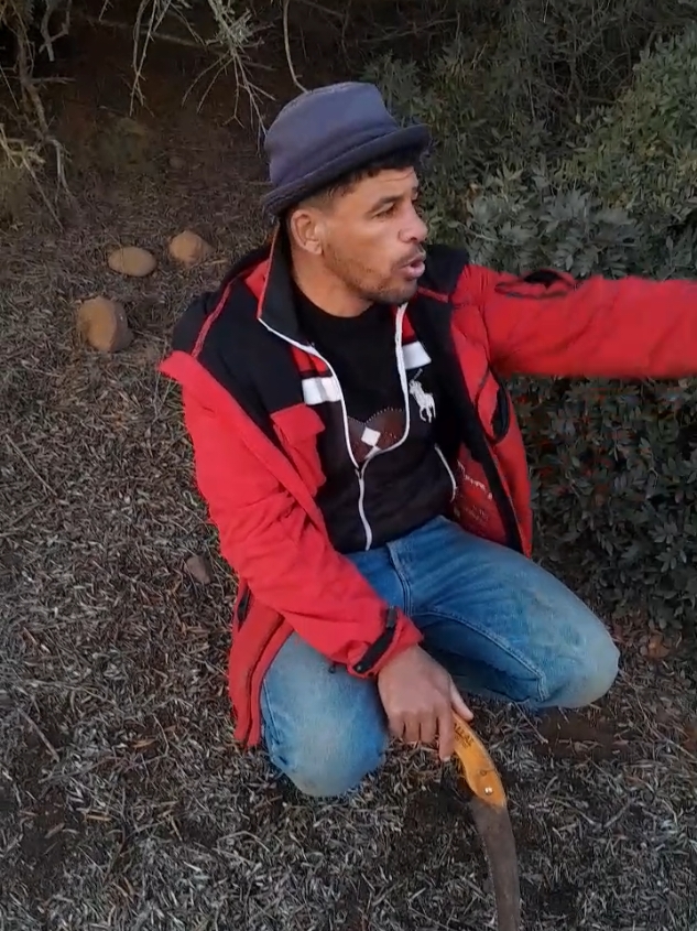 #نعنوع_الحاج #viral_video #الجزائر #الشعب_الصيني_ماله_حل😂😂 