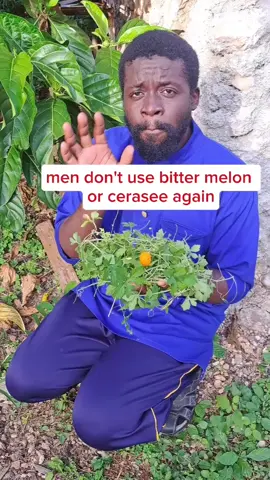 Bitter Melon Benefits: 6 Reasons This Superfood Deserves a Spot in Your Diet! 🌿✨ #BitterMelon #NaturalHealing #HerbalRemedies #SuperfoodSecrets #HolisticHealth #WellnessJourney #PlantBasedLiving #HealingNaturally #NatureCures #HealthyLiving