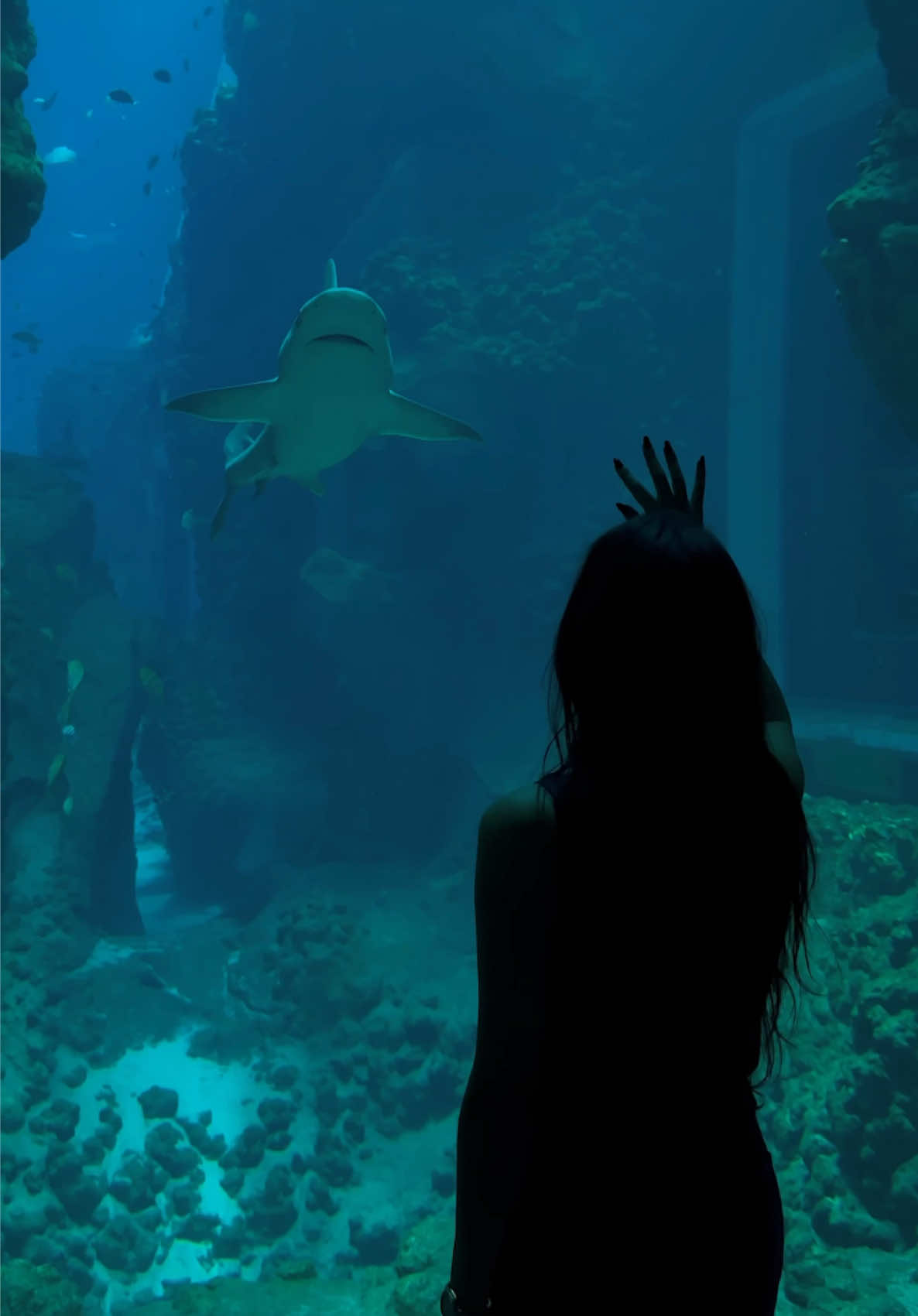 What a beautiful world 🌎 What a beautiful SeaWorld 🌎❤️