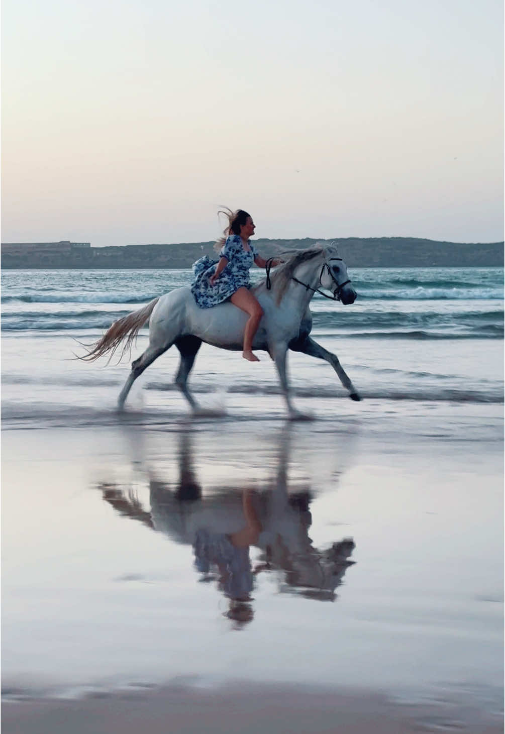 Live a life that you will remember 💫 🤍Ringo 🤍 👉🏼 We are a Travel Agency based in Essaouira (Morocco). Join us for an unforgettable horseride holidays. Ride the best horses in town, and meet the best team of riders.  . . . . . . #horses #horsesoftiktok #horse #horsetok #equestrian #fyp #cheval #fypage #viral #viralvideo #pferd #horsesontiktok #лошадь #horselove #essaouira #morocco #lovak #caballos #cavalli