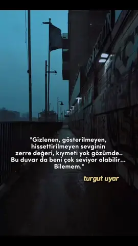 #turgutuyar #şair #sözlerdiyarı #söz 
