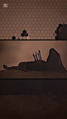 قيمو 🥲#تصاميمي #السيده_زينب_عليها_السلام 