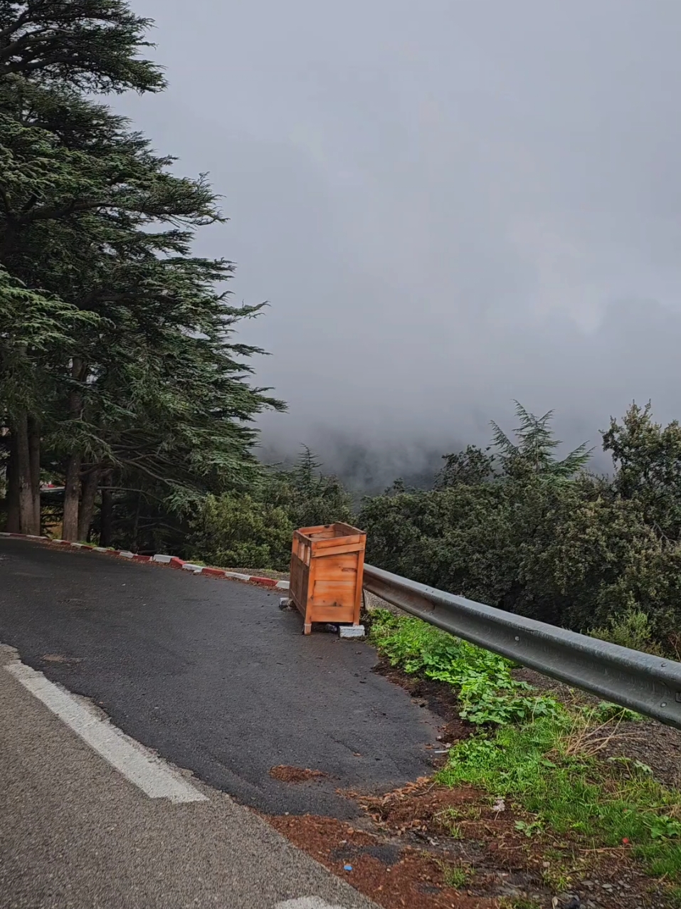 جبال الشريعة في ديسمير 🥶💙 . . . . . . #fyp #foryoupagе #foryoupageofficial #fyyyyyyyyyyyyyyyy #chréa #chrea #chrea_blida09 #nature #wintervibes #dz #tiktokdz #🇩🇿 #algeria #اكسبلور #blida #شريعة❄😍 #شريعة #pourtoi #شتاء_البرد_اجواء_شتويه 