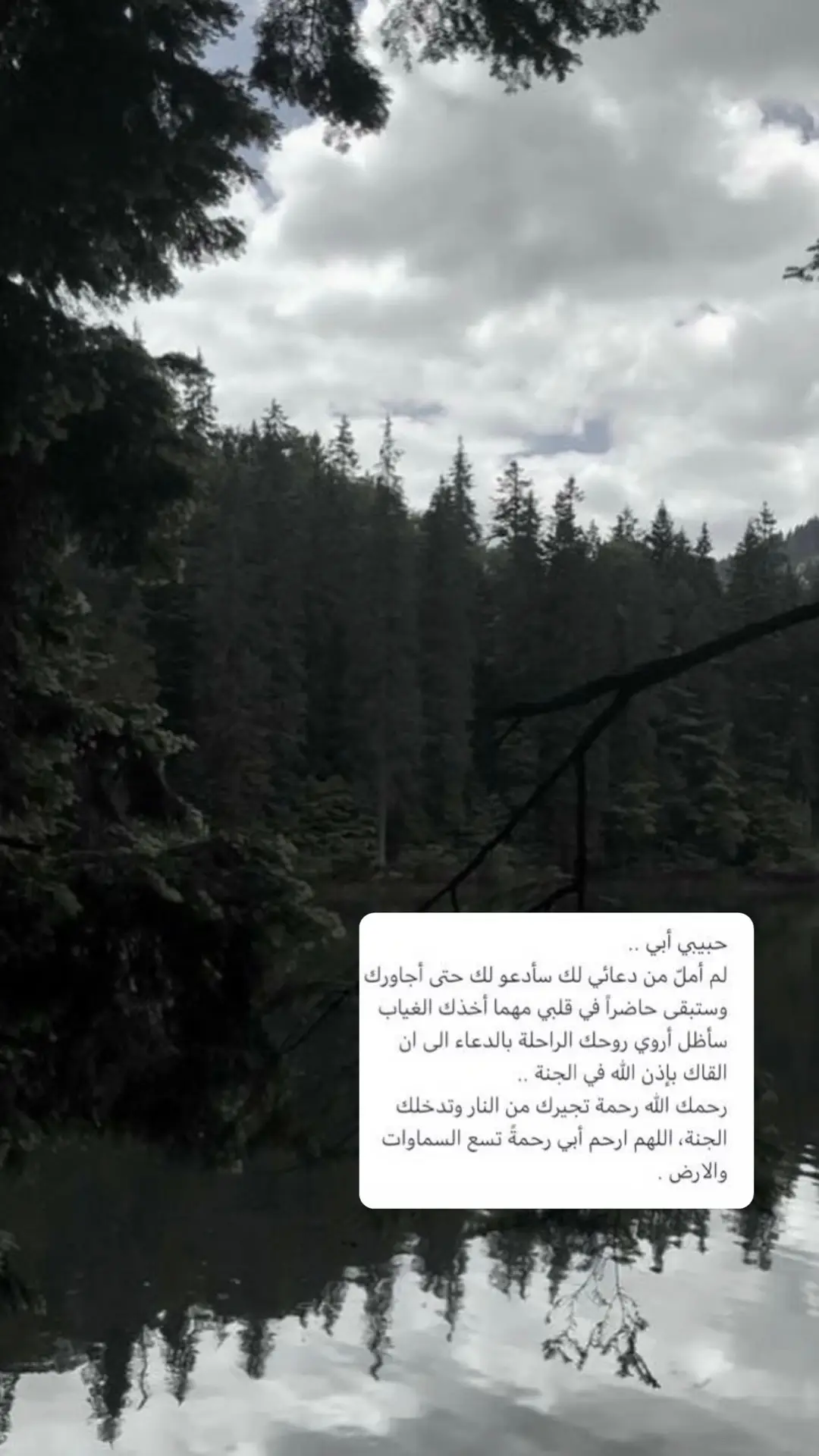 رحمكَ الله يا أبي .. ‏