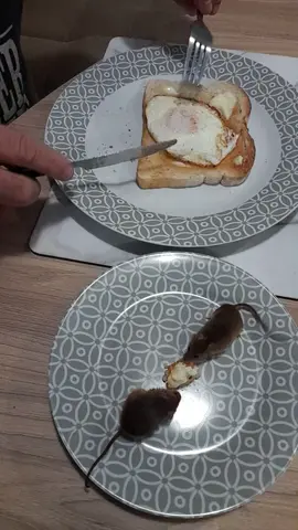 egg on toast