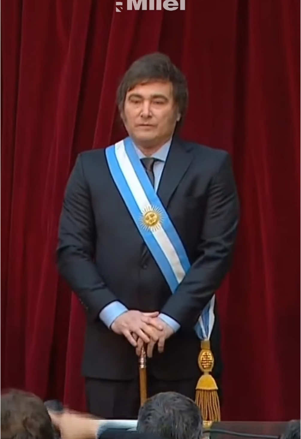 PRIMER AÑO DE LA NUEVA ARGENTINA 🦁🥹 #milei #javiermilei #argentina #argentina🇦🇷 