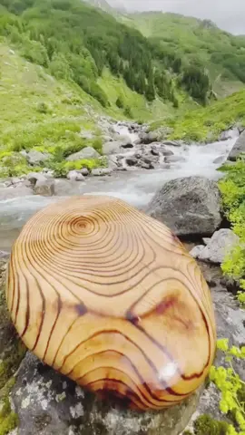 #oops_alhamdulelah #اللهم_صلي_على_نبينا_محمد #قصص_حقيقيه #قصص_واقعية #دعاء #القران_الكريم_راحه_نفسية😍🕋 #لاحول_ولا_قوة_الا_بالله #قصص_دينيه #quran #fyp 