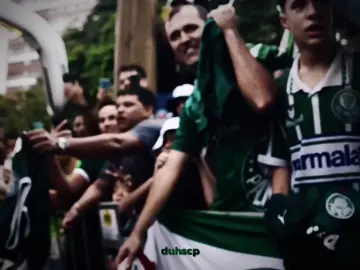 o show tem que continuar 💚 #palmeiras #manchaverde #dudu #estevaopalmeiras #abelferreira #brasileirao #fypシ゚viral 