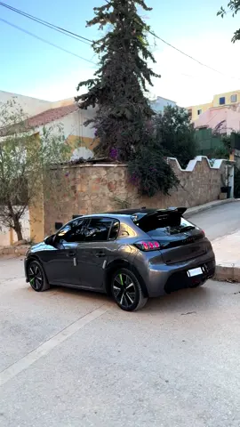 #gt #208 #308 #capcut #fynn #شعب_الصيني_ماله_حل😂😂 #tlemcen #tlemceni__13 #clio4 #سعوديه #clio5 #clio5turkey #leon #fyppppppppppppppppppppppp #spourt #golf7 #208gt #gtline 