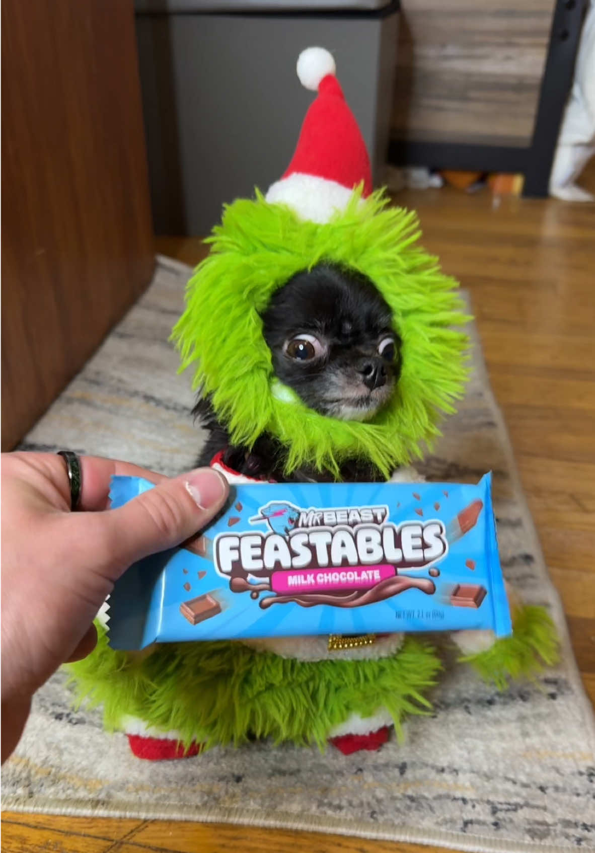 Grinch Feastables Flying Puddin 😂❤️