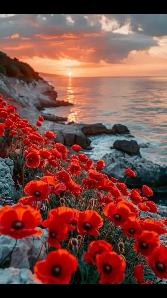 #ربما_مليت_منك_يارشيق #احمد_الهرمي #مجرد________ذووووووق🎶🎵💞 #اكسبلورexplore #Love #fy 