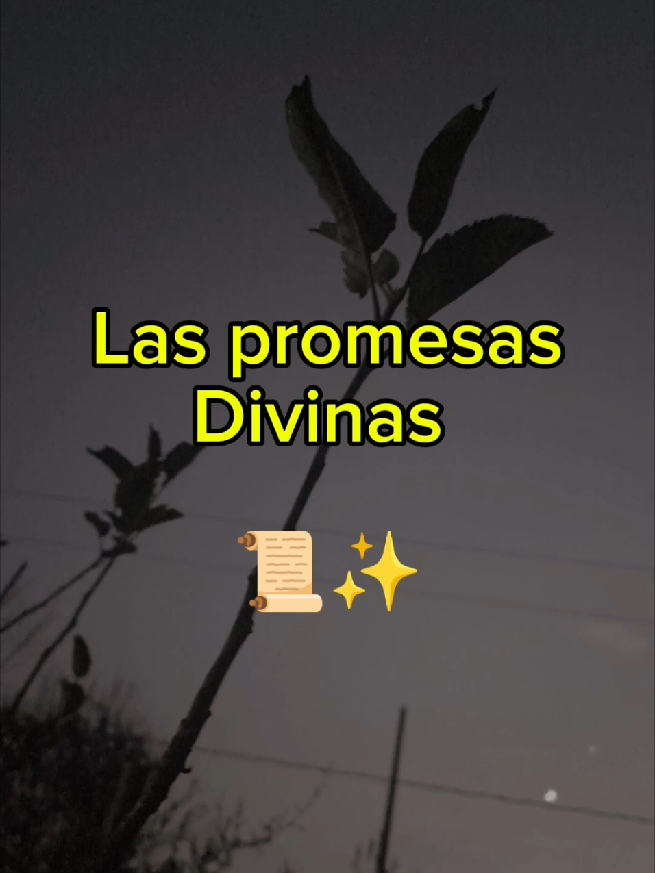 #Las_Promesas_Divinas  #MIEPI #Coros_Niños #Devocional_3 #ParaTi 