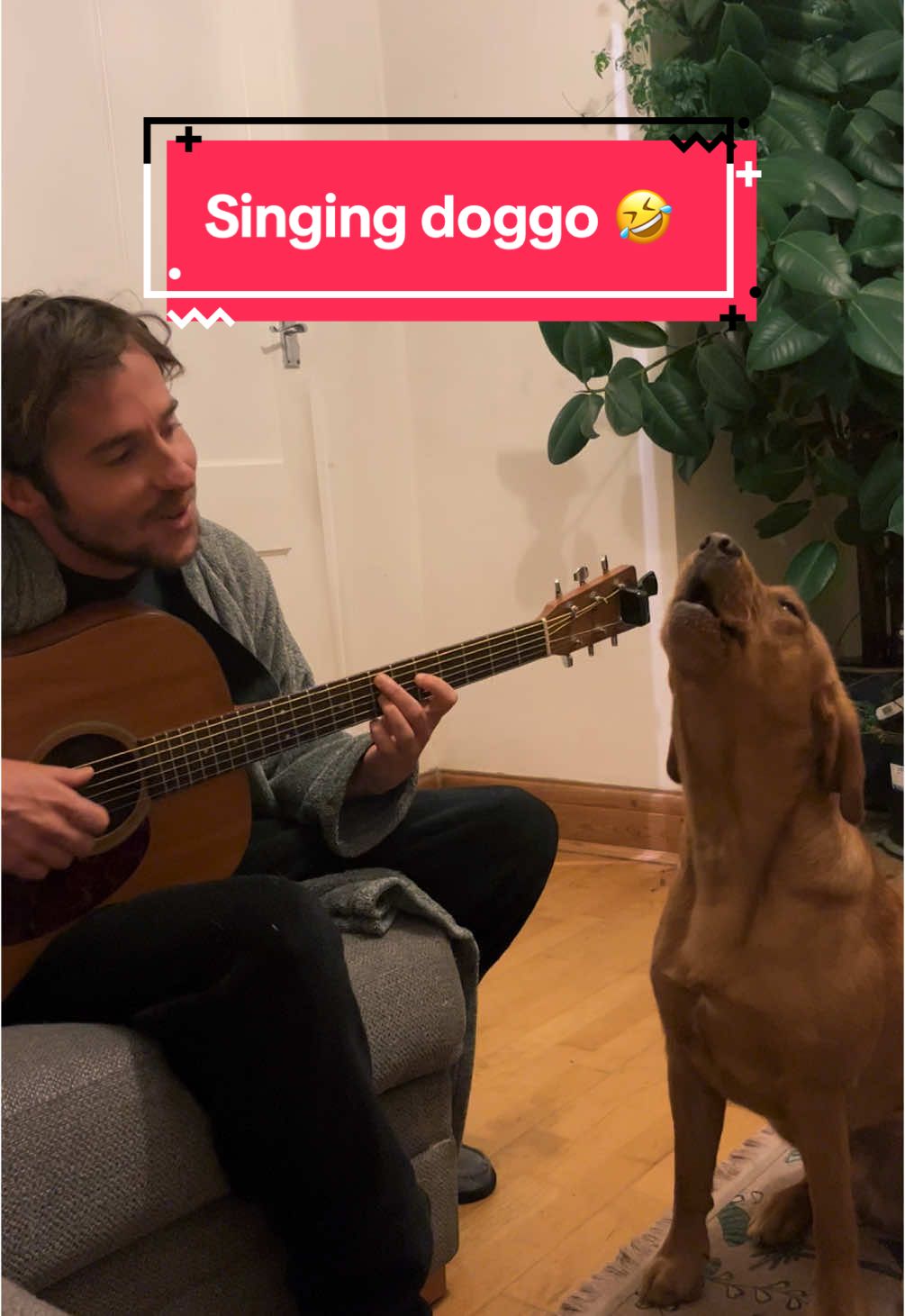 Have you ever heard a singing doggo before? 🐶 well now you have! 🤩 I just started playing guitar and he started singing 😆 #funnyy #dog #singing #fyp #foryoupage❤️❤️ #musica #acoustic #guitar #dogsinging 
