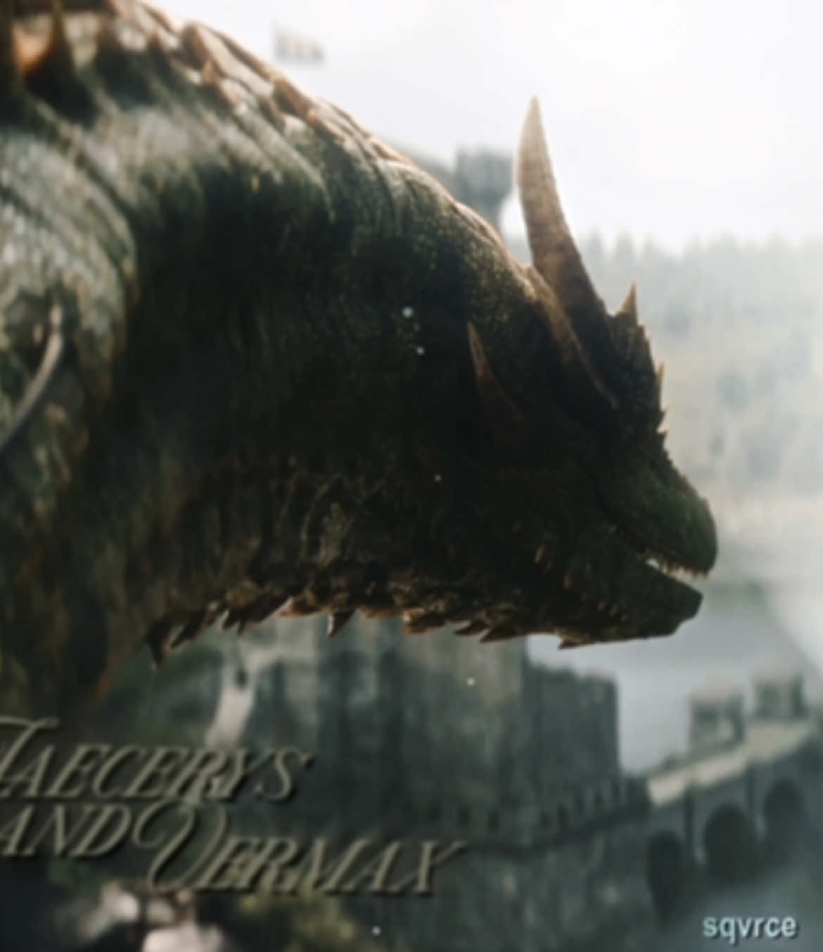 They all match their dragons so well. #teamblack #houseofthedragon #hotd#hbo#dragons#rhaenyratargaryenedit #daemontargaryen #rhaenystargaryen #baelatargaryen #rhaenatargaryen #jacerysvelaryon #addamofhull 