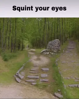 Send this to your crush to instantly rizz them up !!! #fyp #cat #rizz #funnymoment #memestiktok 