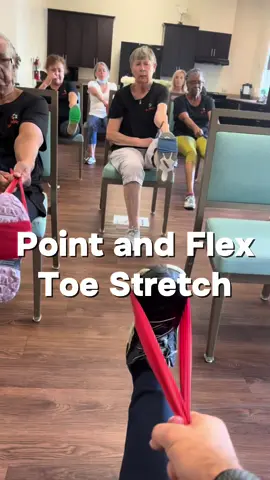 Stretch your legs and ankles with this seated exercise!  #SeniorFitness #SeniorFitOnline #FitnessForAllAges #StayActive #GentleExercise #HealthyAging #FitnessMotivationDaily 