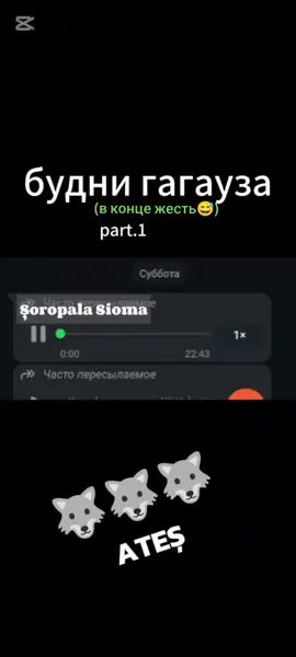 Лайкаем для выхода следующей части❤️🤙🏻#Gagauzlar #prekol #Гагаузы #приколы#fyp #viralvideo🔥 