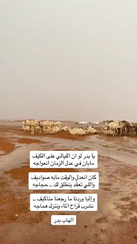 #شعراء_وذواقين_الشعر_الشعبي 