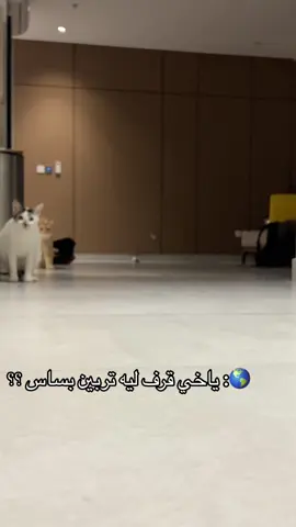 والله لو حبنا غلطه تركنا غلطانيييين 🐾