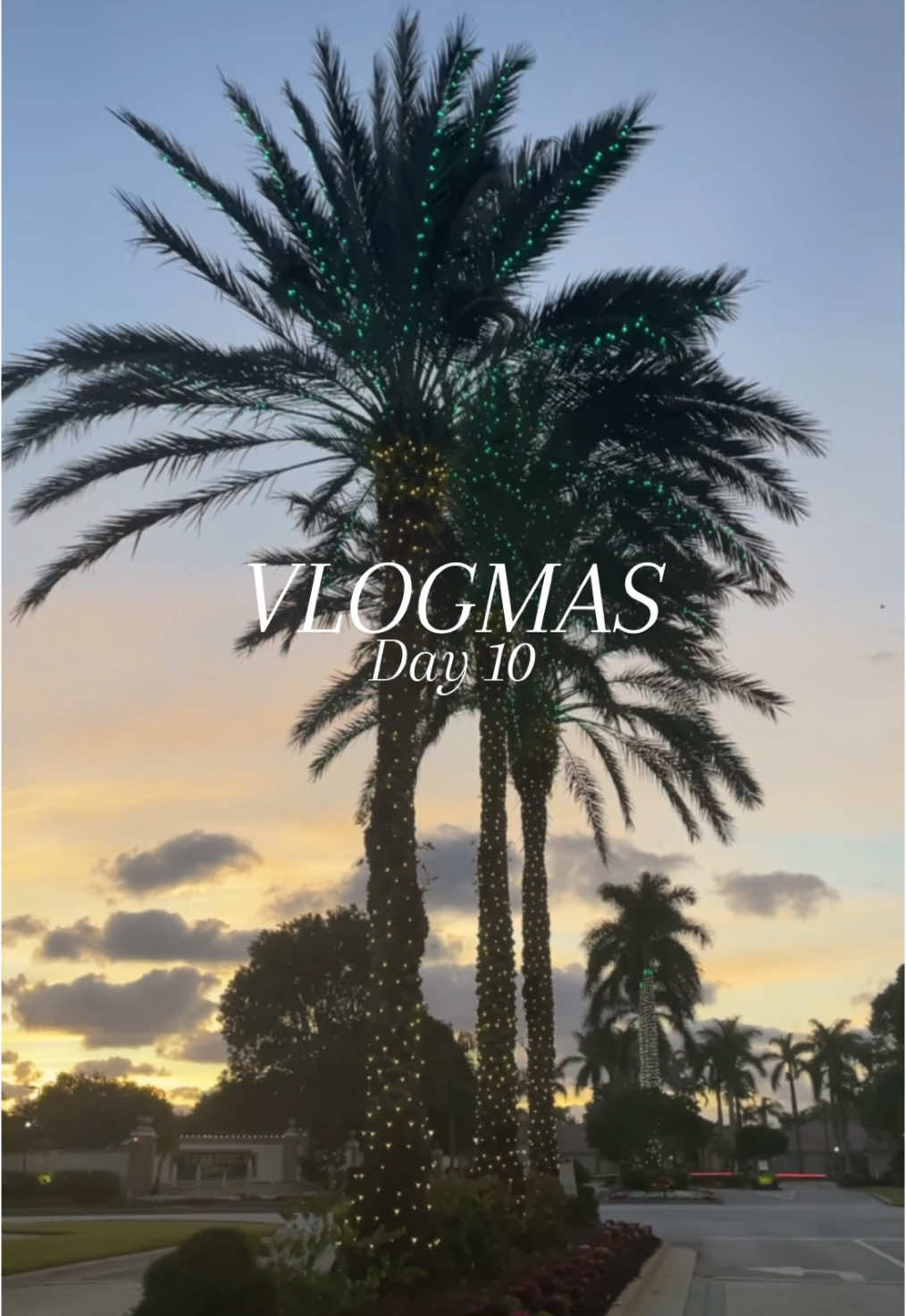 Vlogmas Day 10 🎁✨ . #Vlogmas #vlogmas2024 #dayinmylife #pastudent #pastudentlife #pastudentproblems #pastudentadvice #paschool #paschooljourney #paschooladvice #paschoolstats #physicianassistant #physicianassociate #physicianassistantstudent #physicianassistantschool #medtok #medicalstudent #gradlife #studentlife #gradstudent #scrublife #studytips #studywithme 
